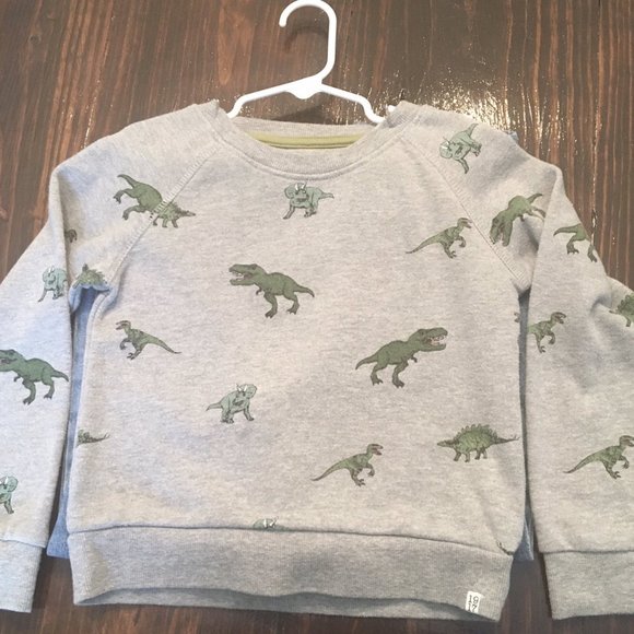Sovereign Code Other - Sovereign Code Dinosaur Sweatshirt Size 6